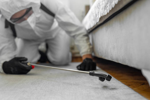 Professional Mosquito Control technician working in Windom, MN