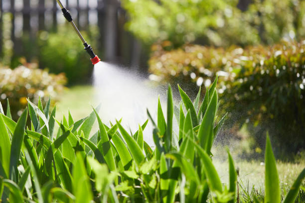 24/7 Emergency Mosquito Control experts in Windom, MN